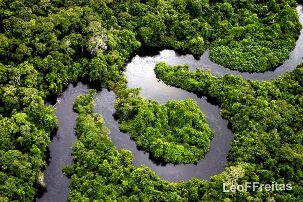 Amazon river flow