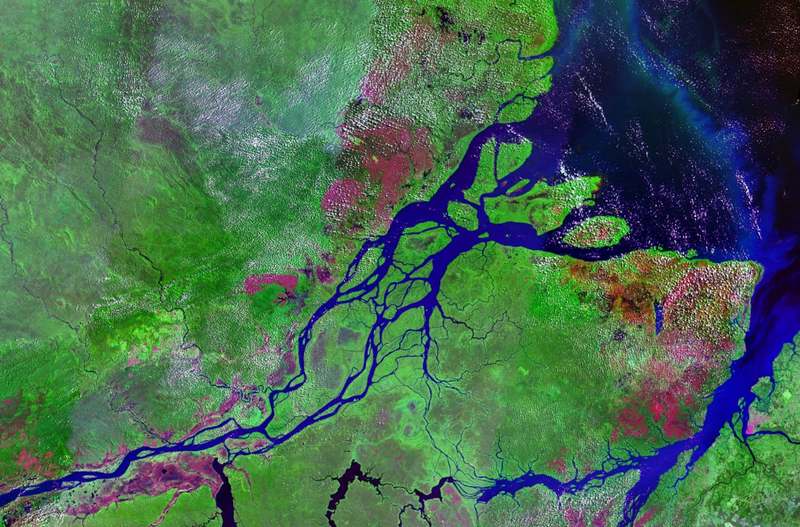 Satellite image of mouths of Amazon River in Brazil, with Marajó Island in the center, and the cities (in red) of Macapá (left) and Belém (right). 
