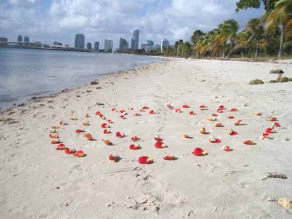 ocean ritual with rose petals