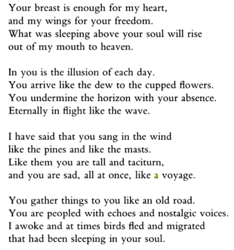 Neruda poem 12 in translation