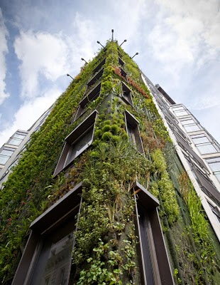 Athenaeum Hotel in London. An eight-story forest by Patrik Leblanc