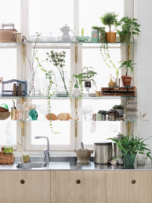 Happiness is a kitchen with plants...and your things...