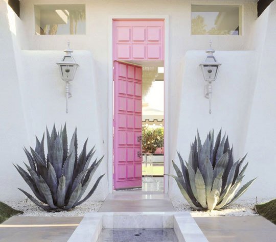 pink door and cacti