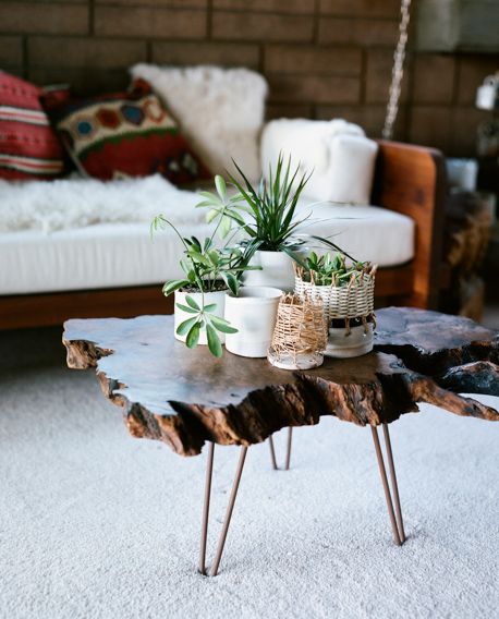 organic living room table + plants