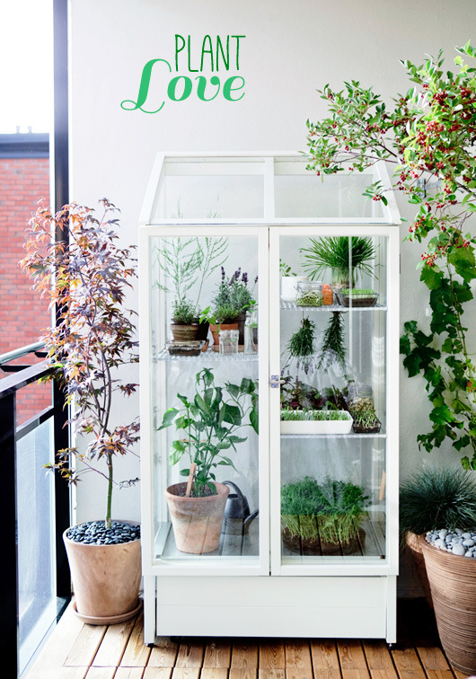 This indoor/outdoor plant sanctuary
