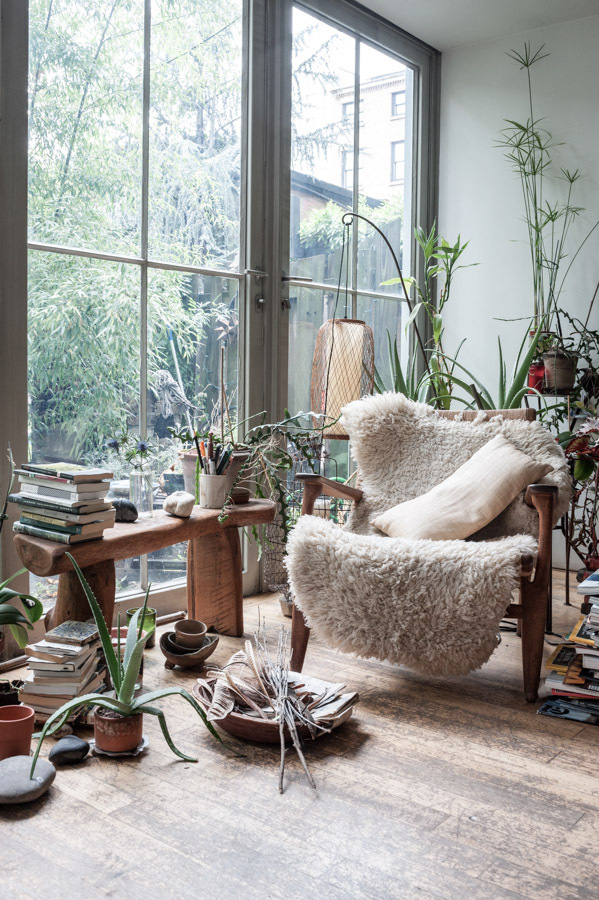 Beautiful space, open and wild with plants.