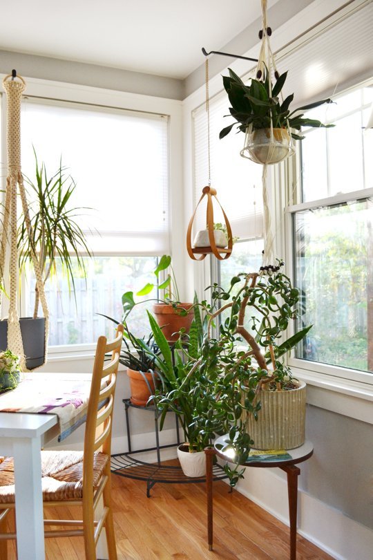 bright plant corner via apartment therapy | awakening sacred flow